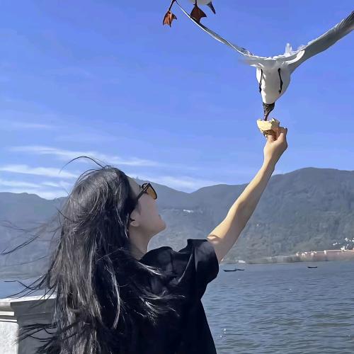 仟兆轻奢饰品2.0