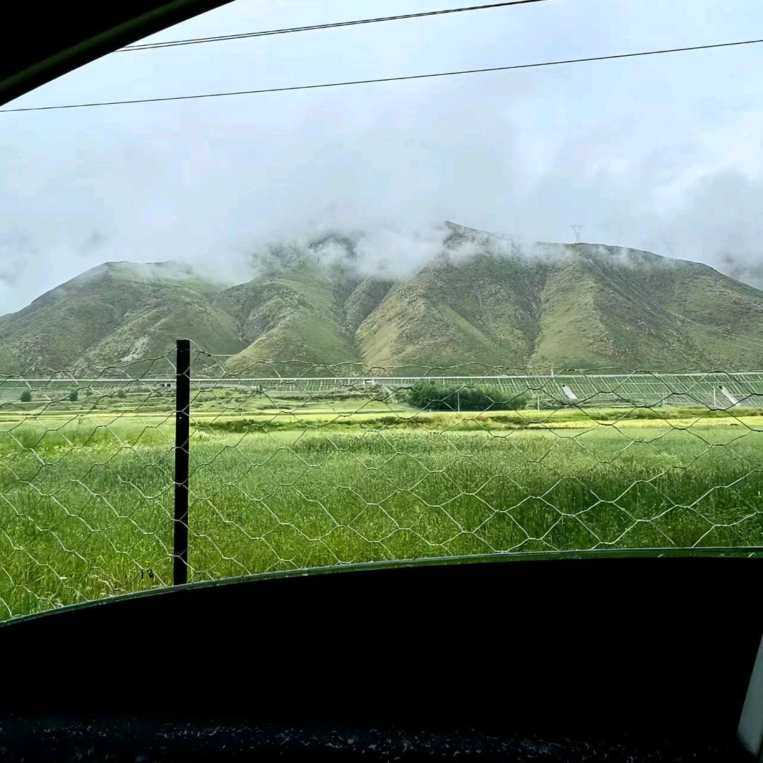 我在华为店苟且偷生