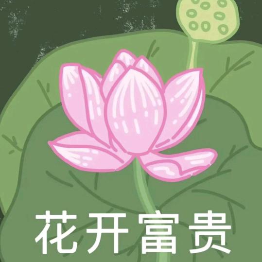 奋斗的小璇