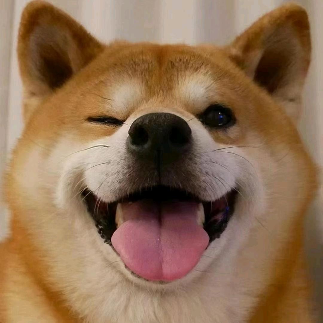 考神附体✊