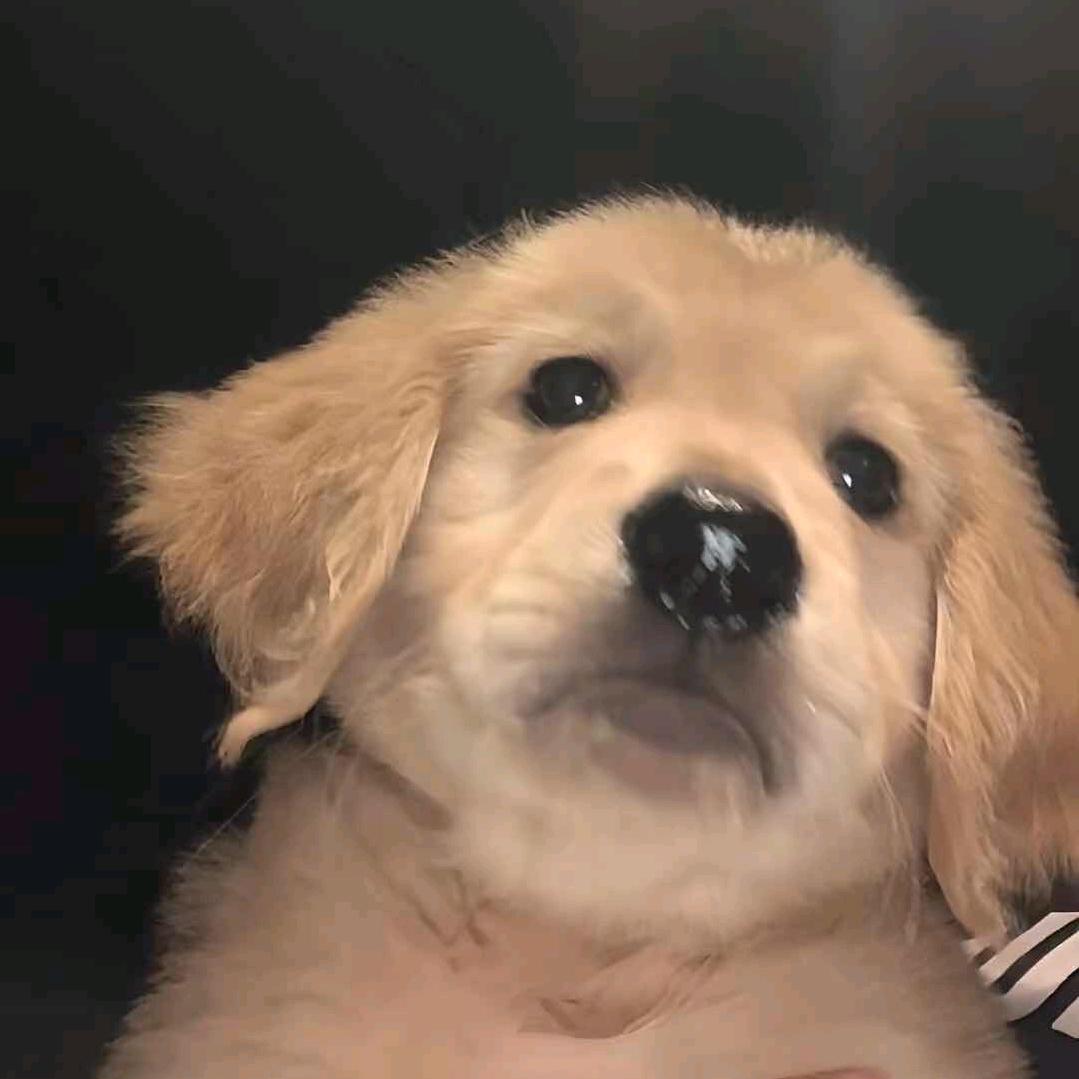 至少(无畏契约)