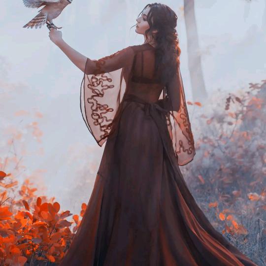 小住先带刺的玫瑰🌹