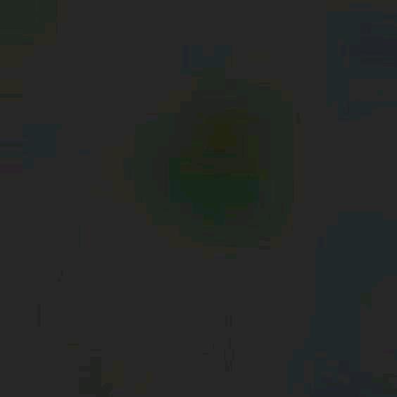 moonskey