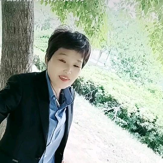 河南桃姐