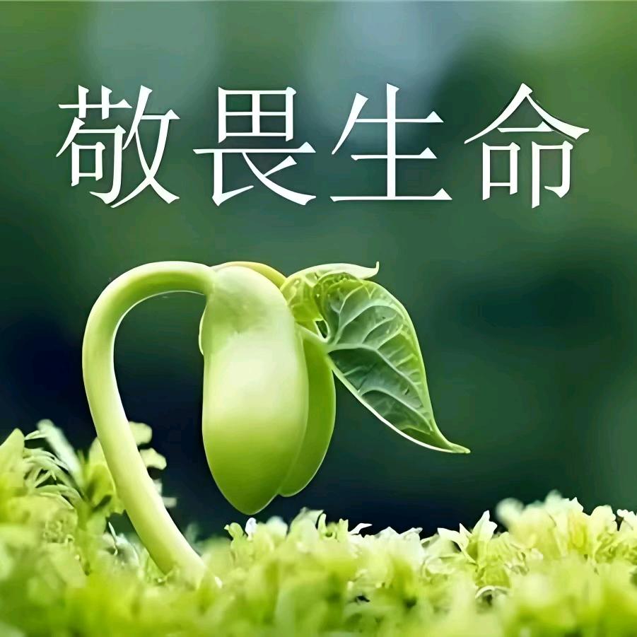 蜀道