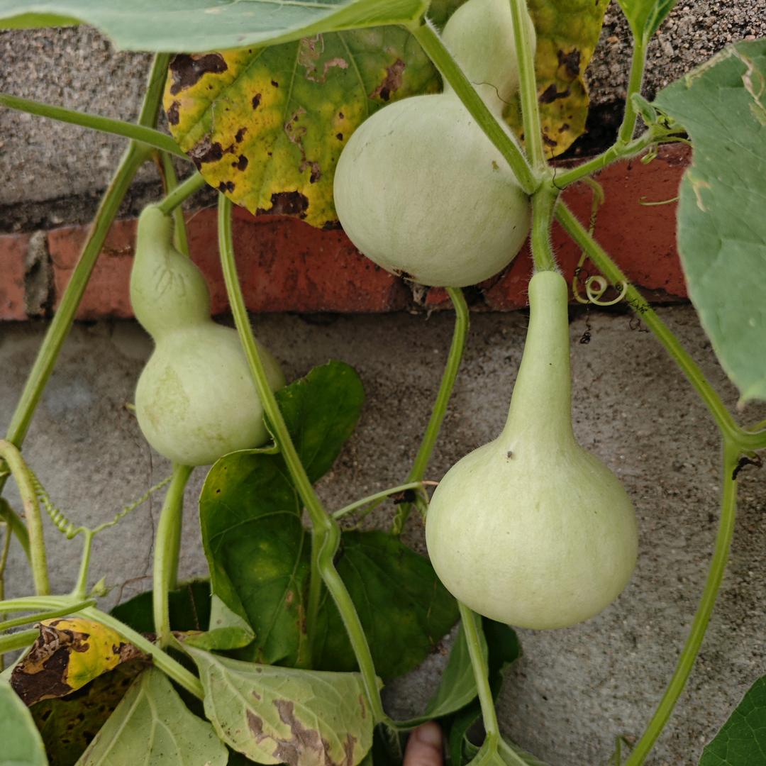 希望每天都是阳光明媚