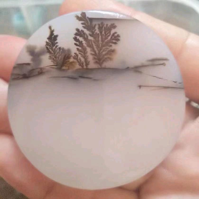 玲姐