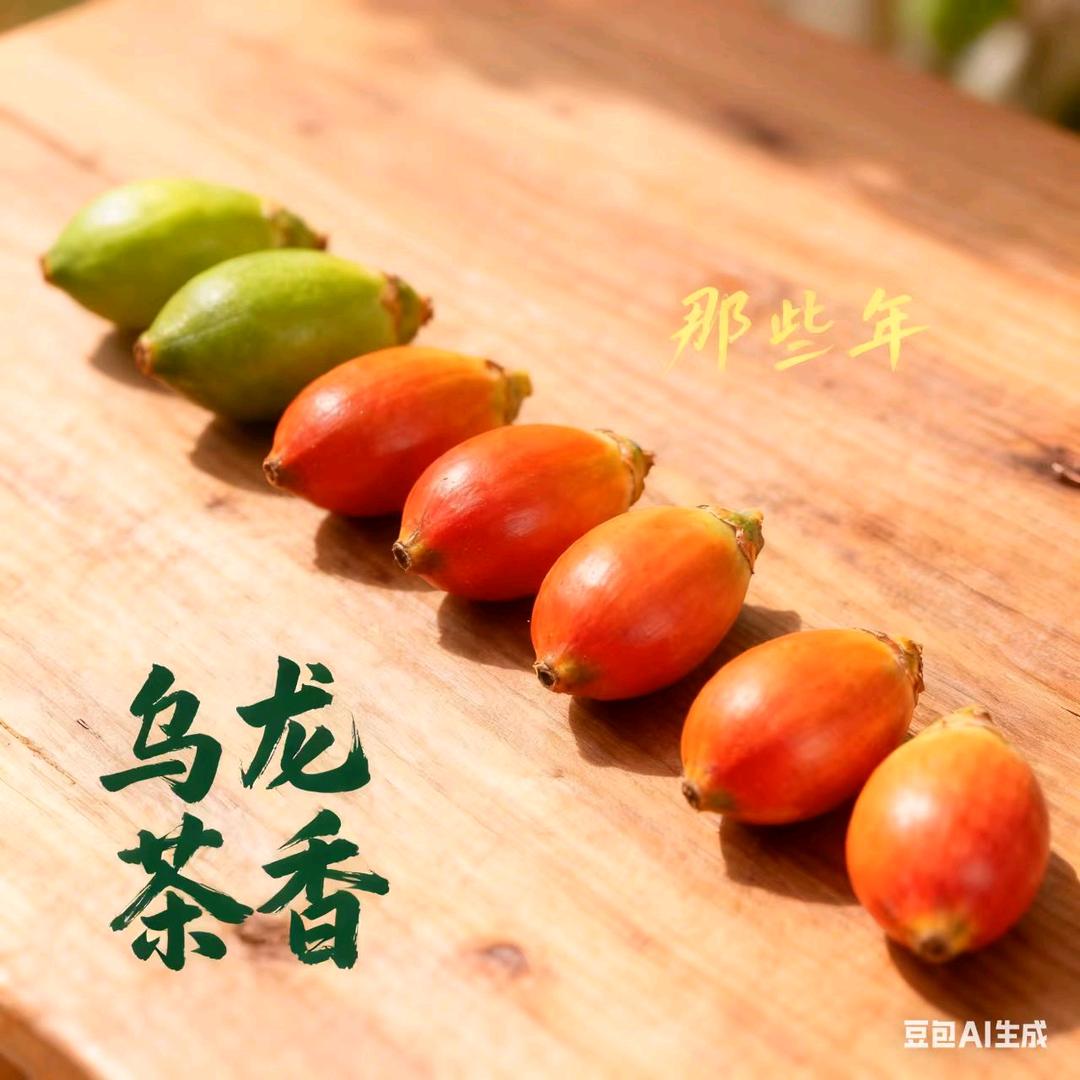 邵东(那些年•乌龙茶香)办事处