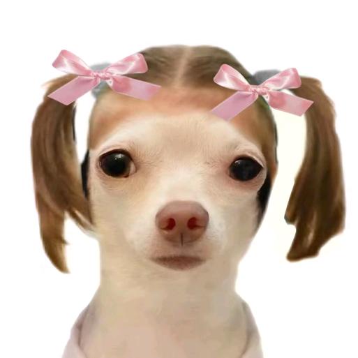 🌈嗯🌈