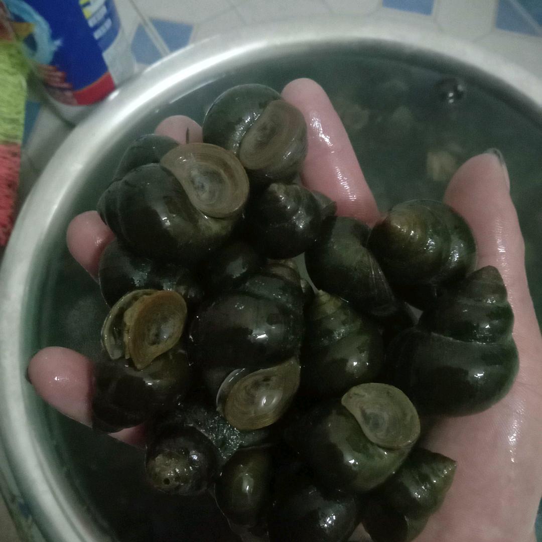 梁华远