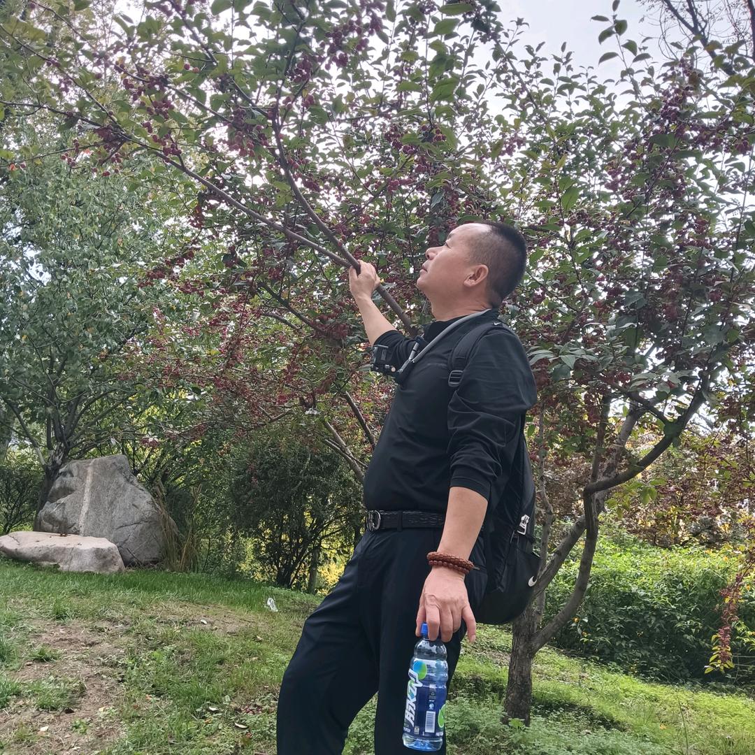 铭铭与睿的故事