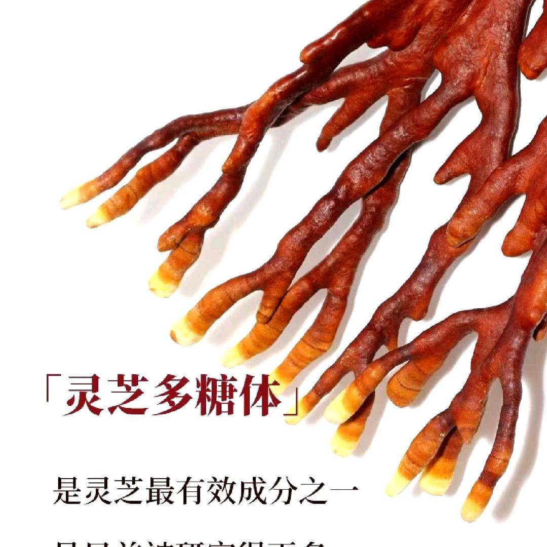 你来不