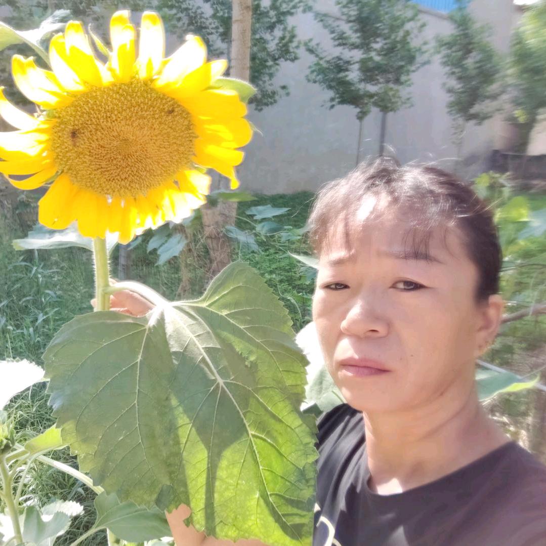 不要再来伤害我