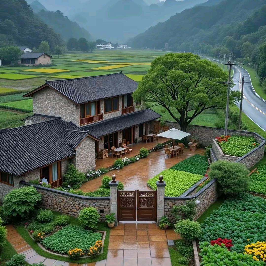 随心入红尘