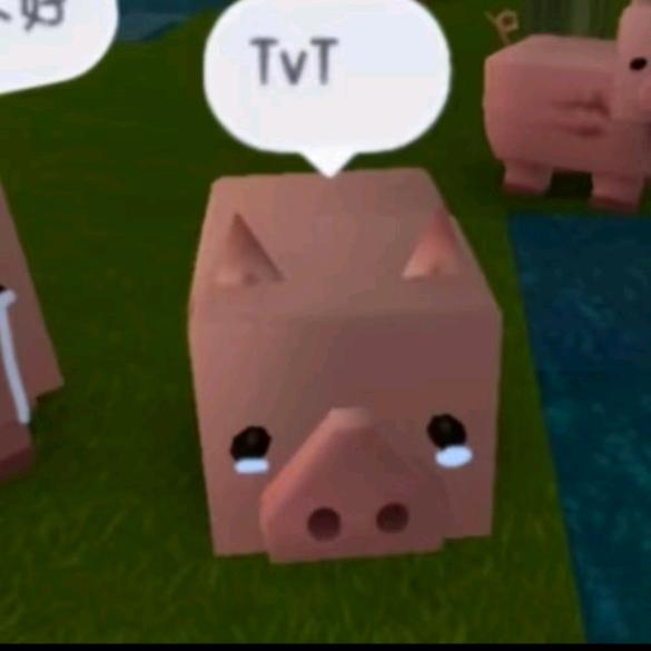 ┌|◎o◎|┘