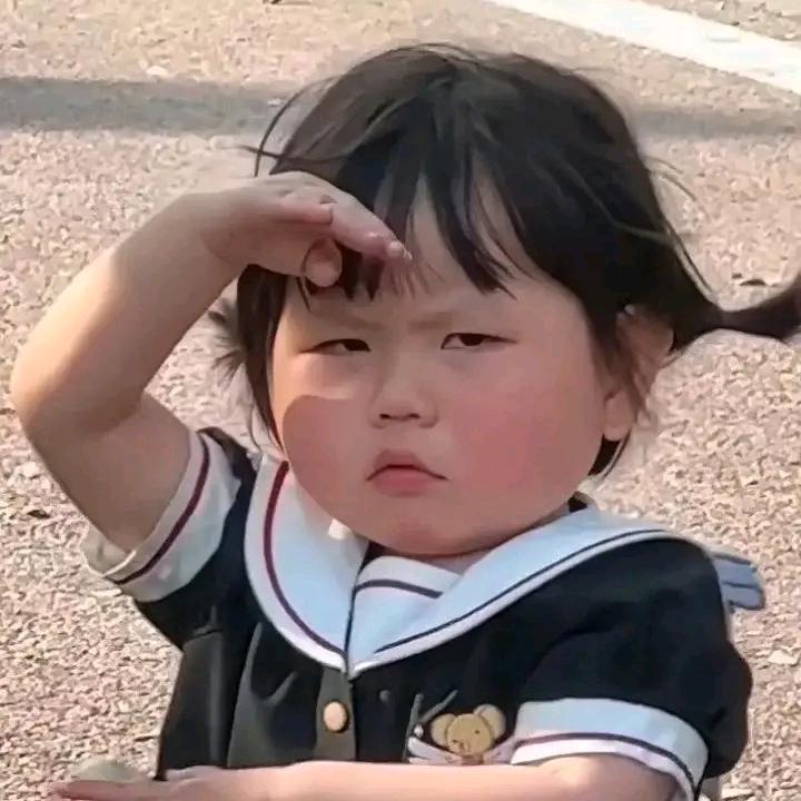 小绵羊_M