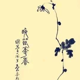 静觀宁晋