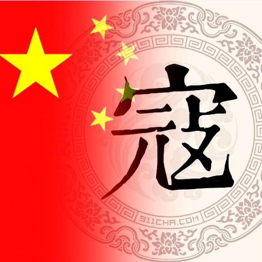 光头哥（橱窗装修中）