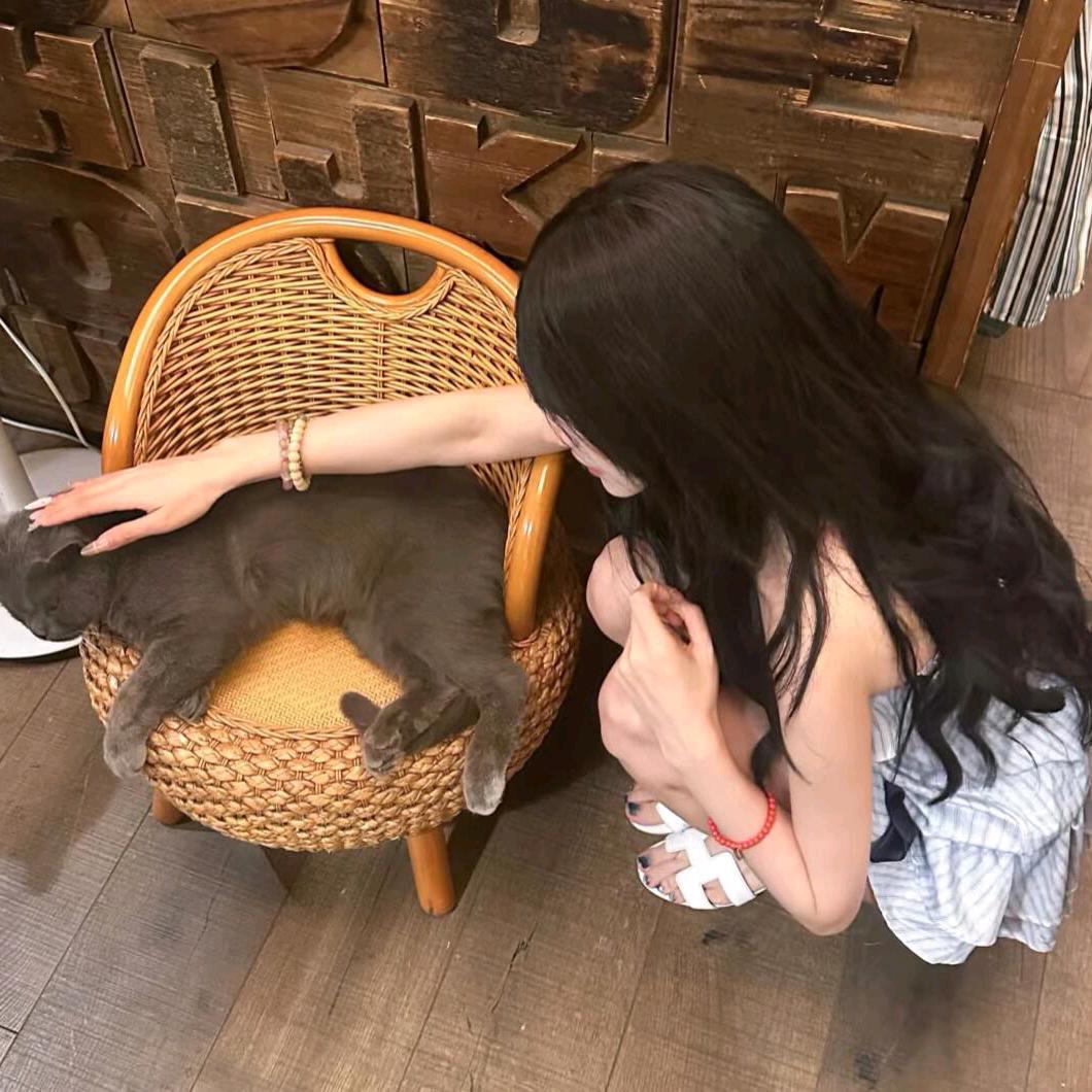 御夏5.13