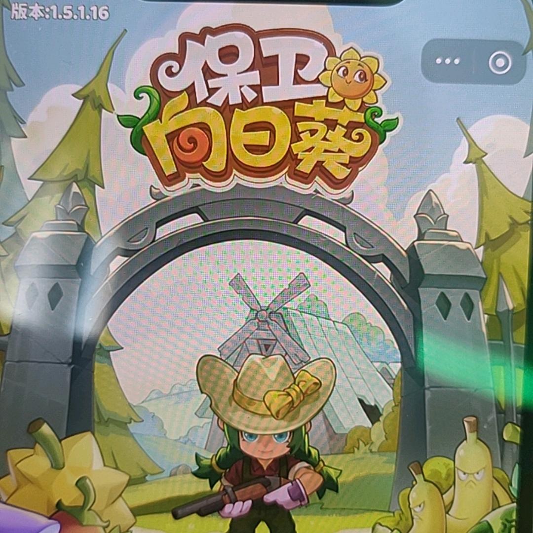 保卫向日葵—萝卜