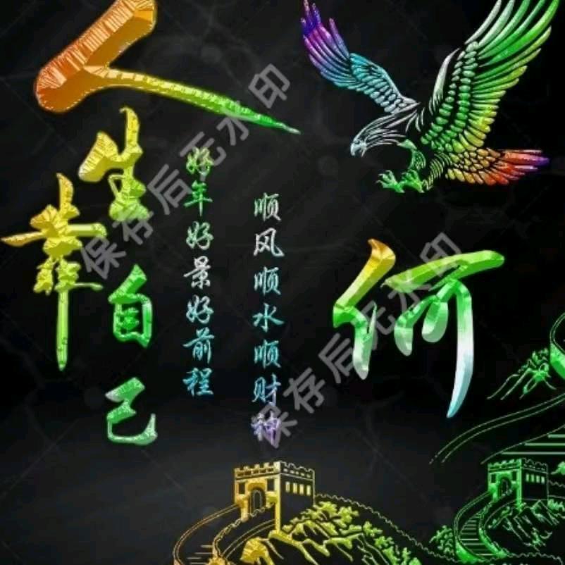 杨阳《摆摊游全国》