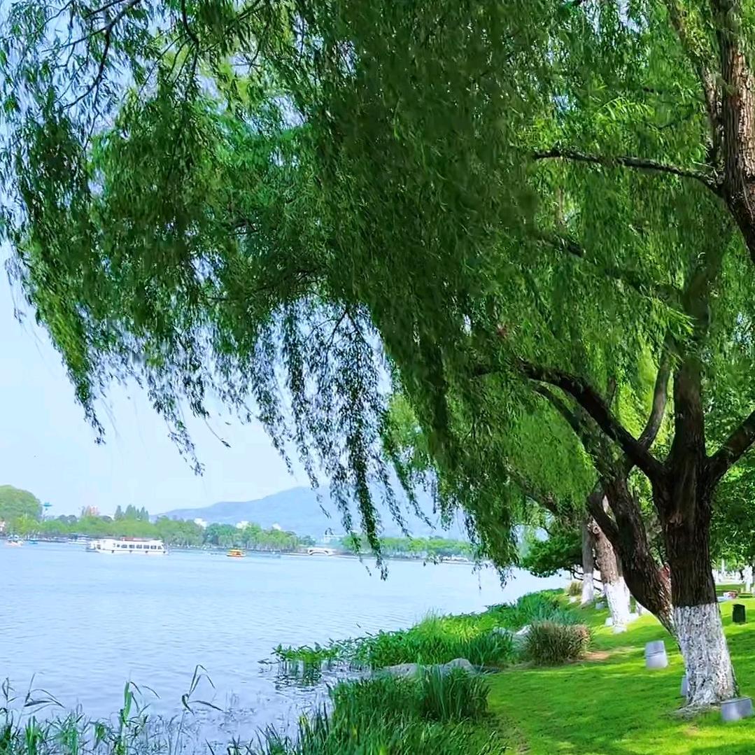 与你同行
