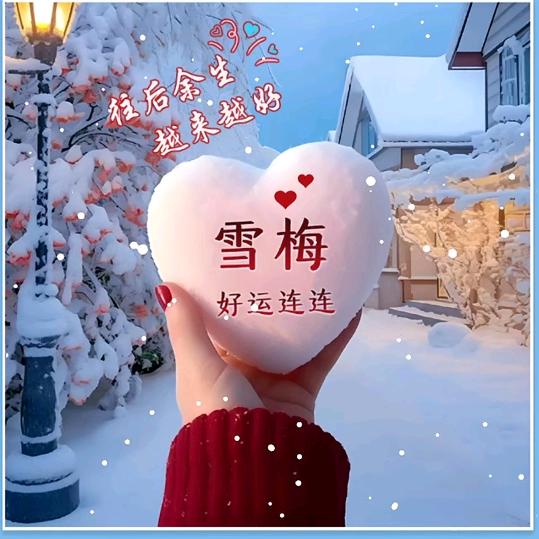 踏雪寻梅