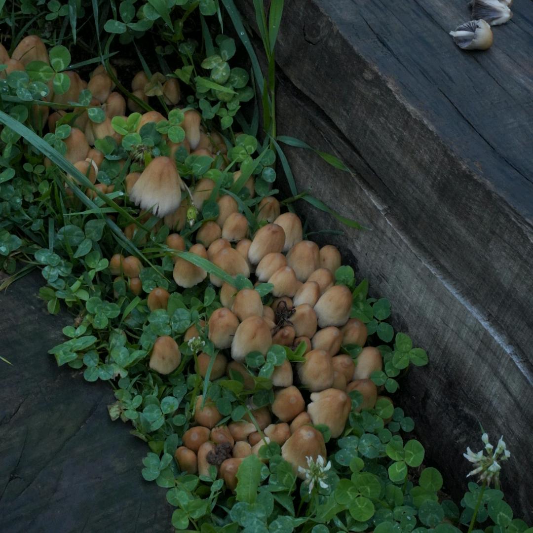 曲靖化妆师萌萌（招互勉）