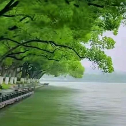 爱生活。
