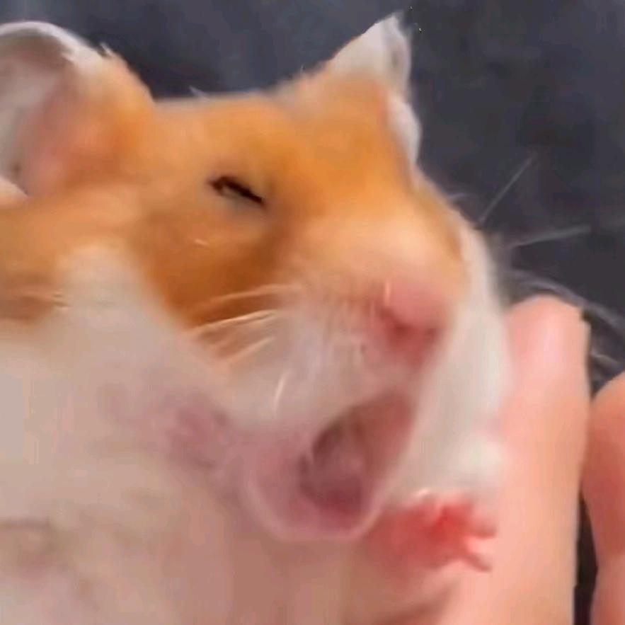 ，，，，，，