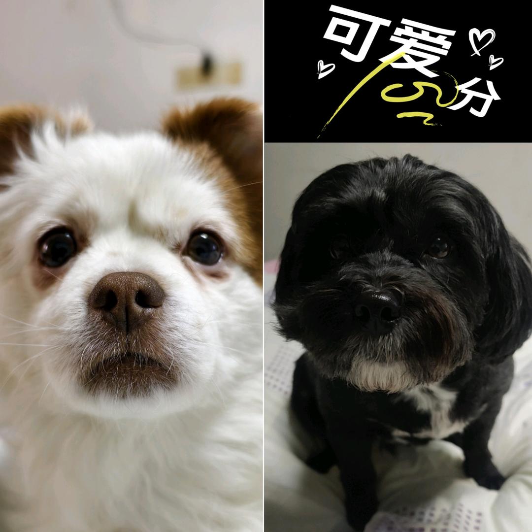 守缺。