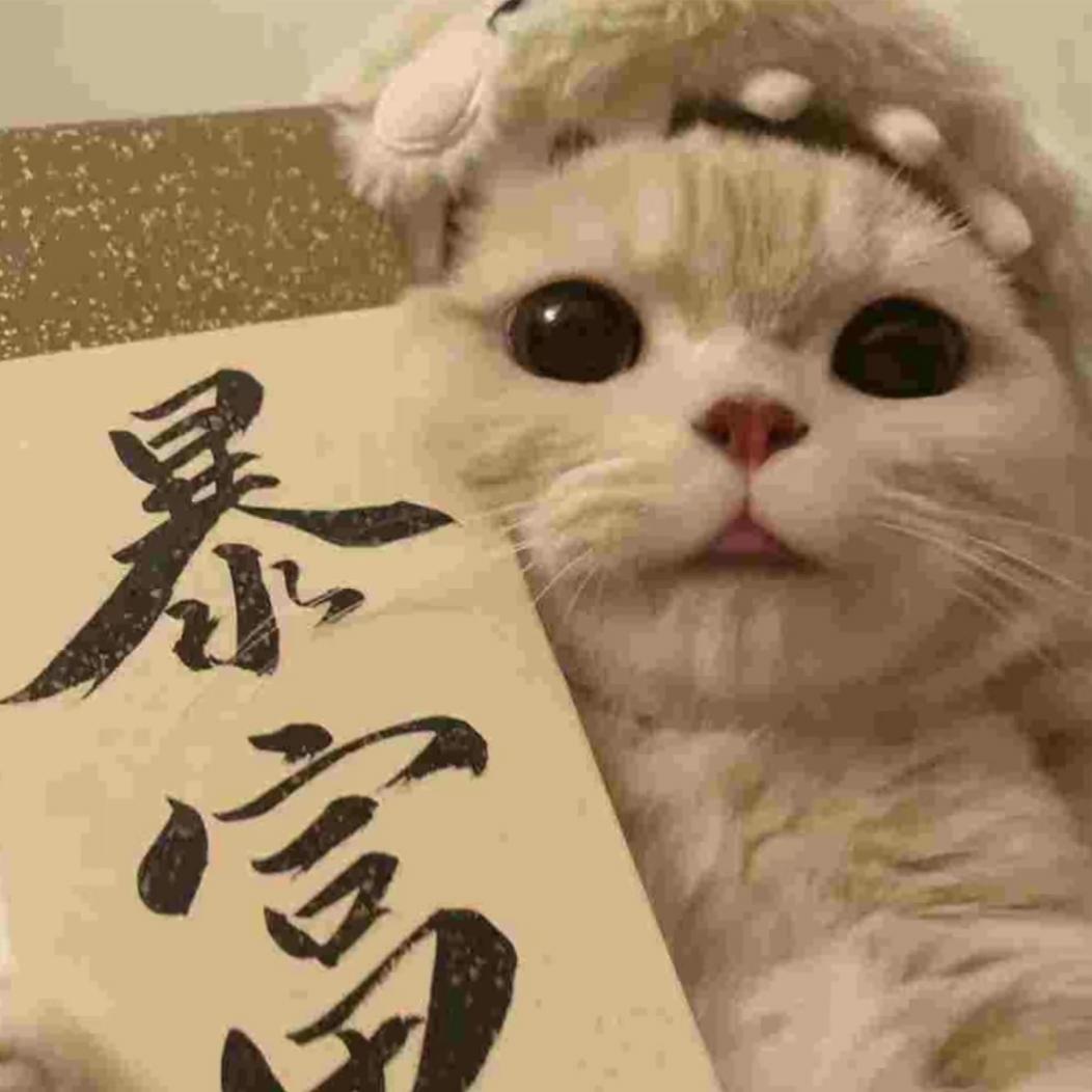 ꧔ꦿ悦己心安࿐ ོ