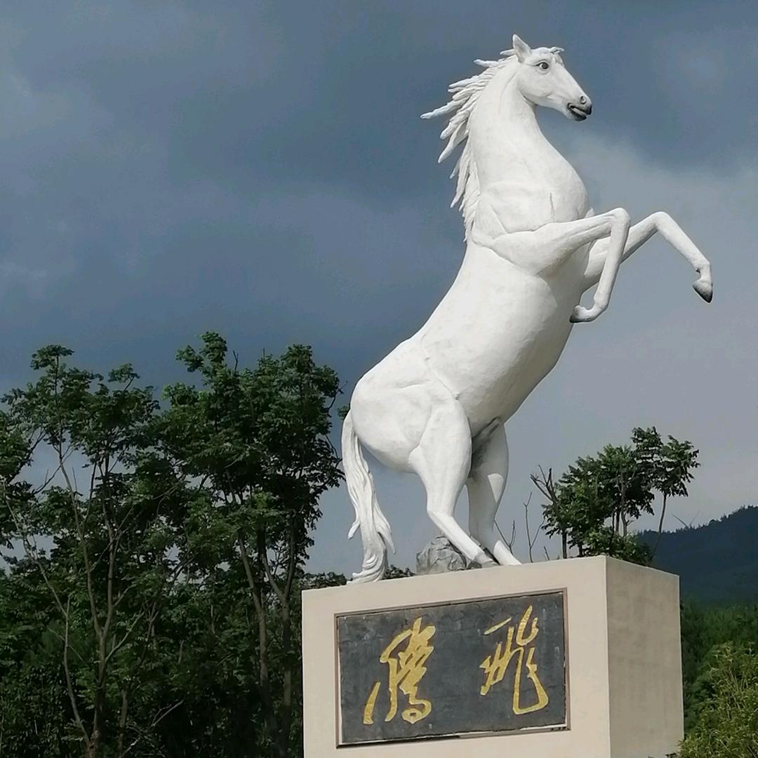 一倾风月一流年