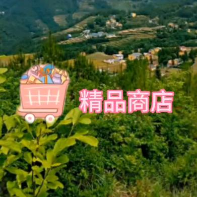 精品商店
