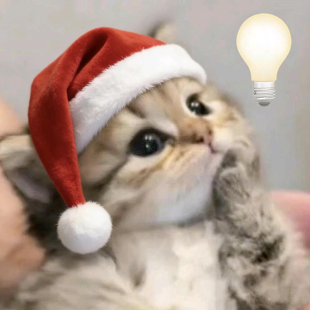 晒太阳补戊（上岸版）