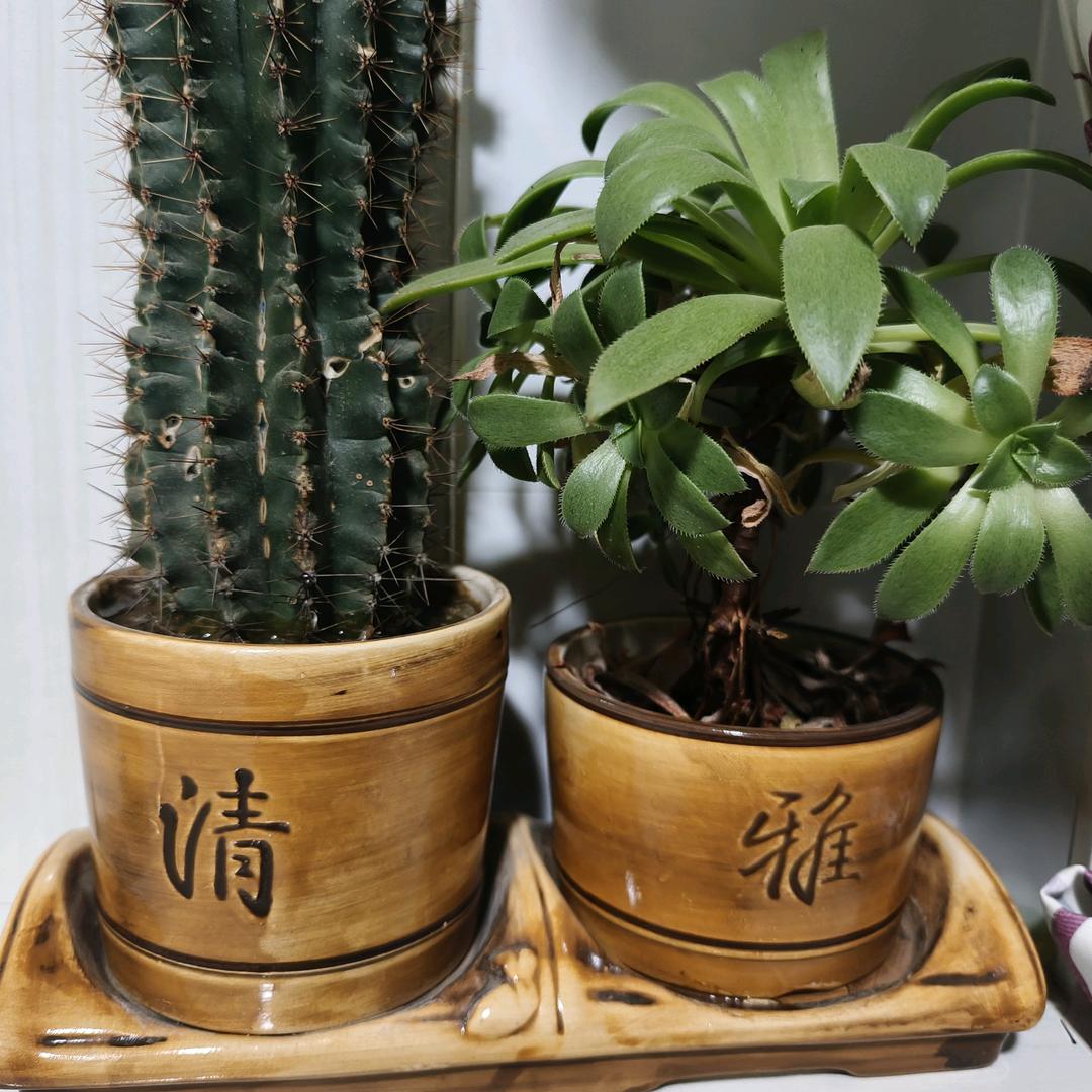 嘉言懿行怀瑾握瑜