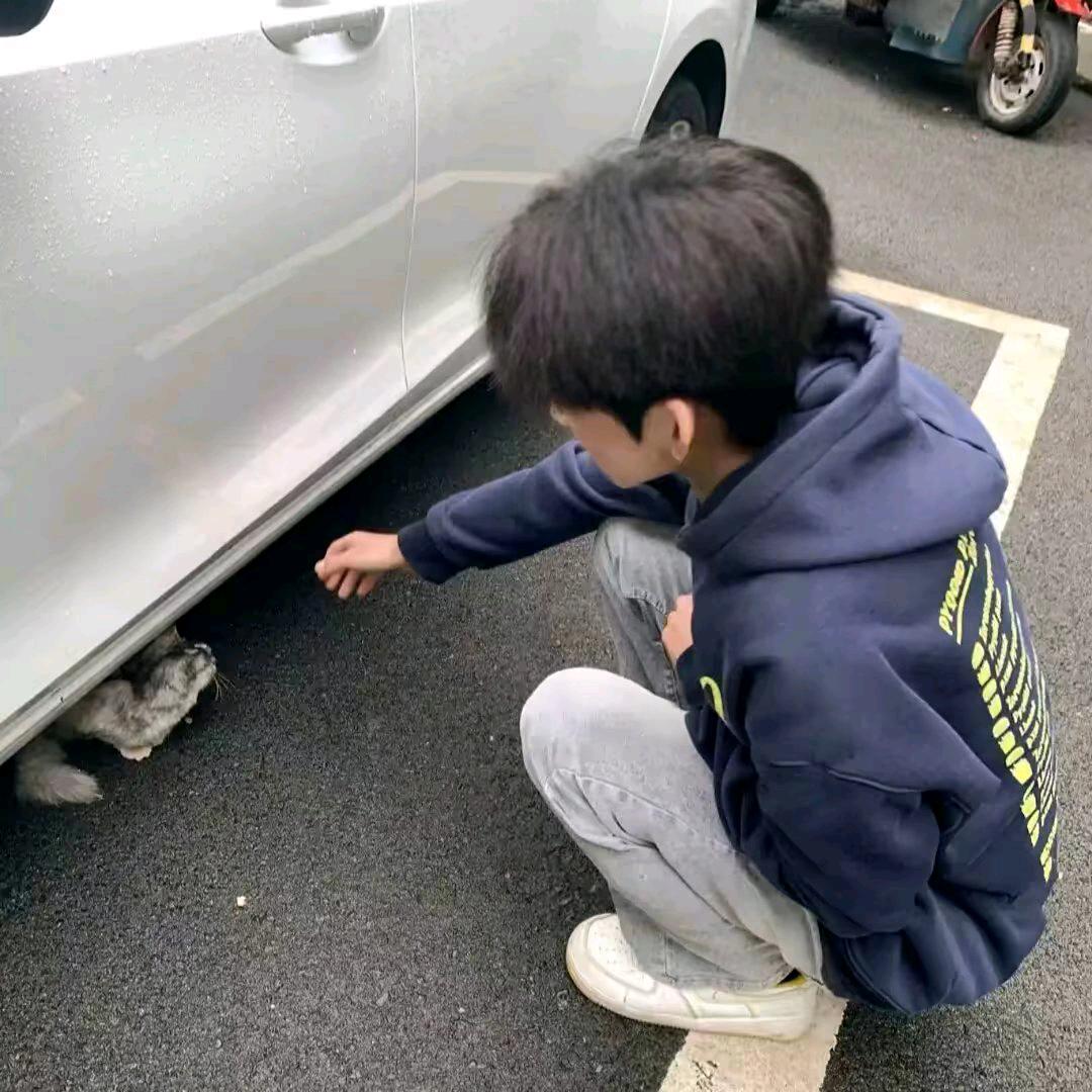 小小鑫