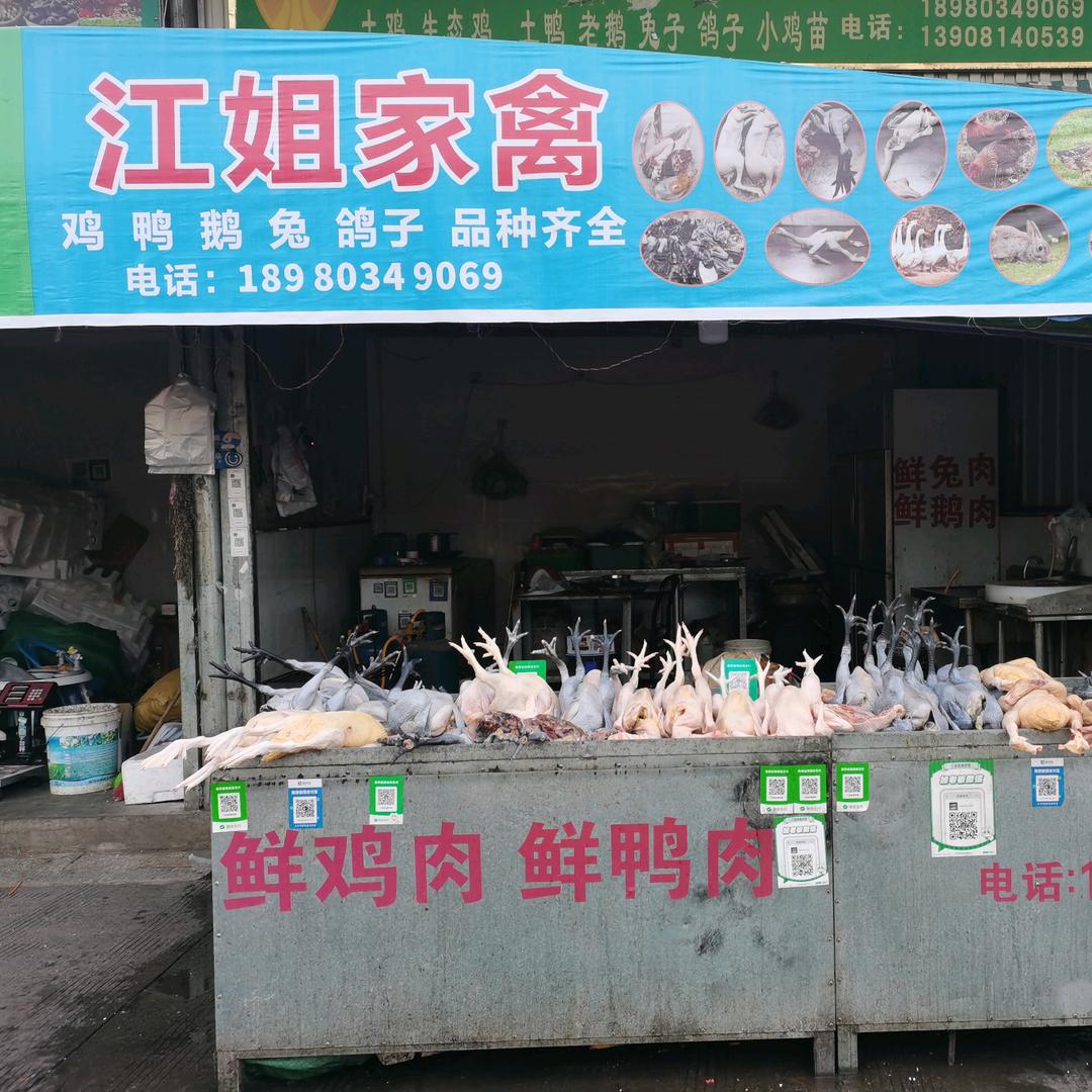 江姐