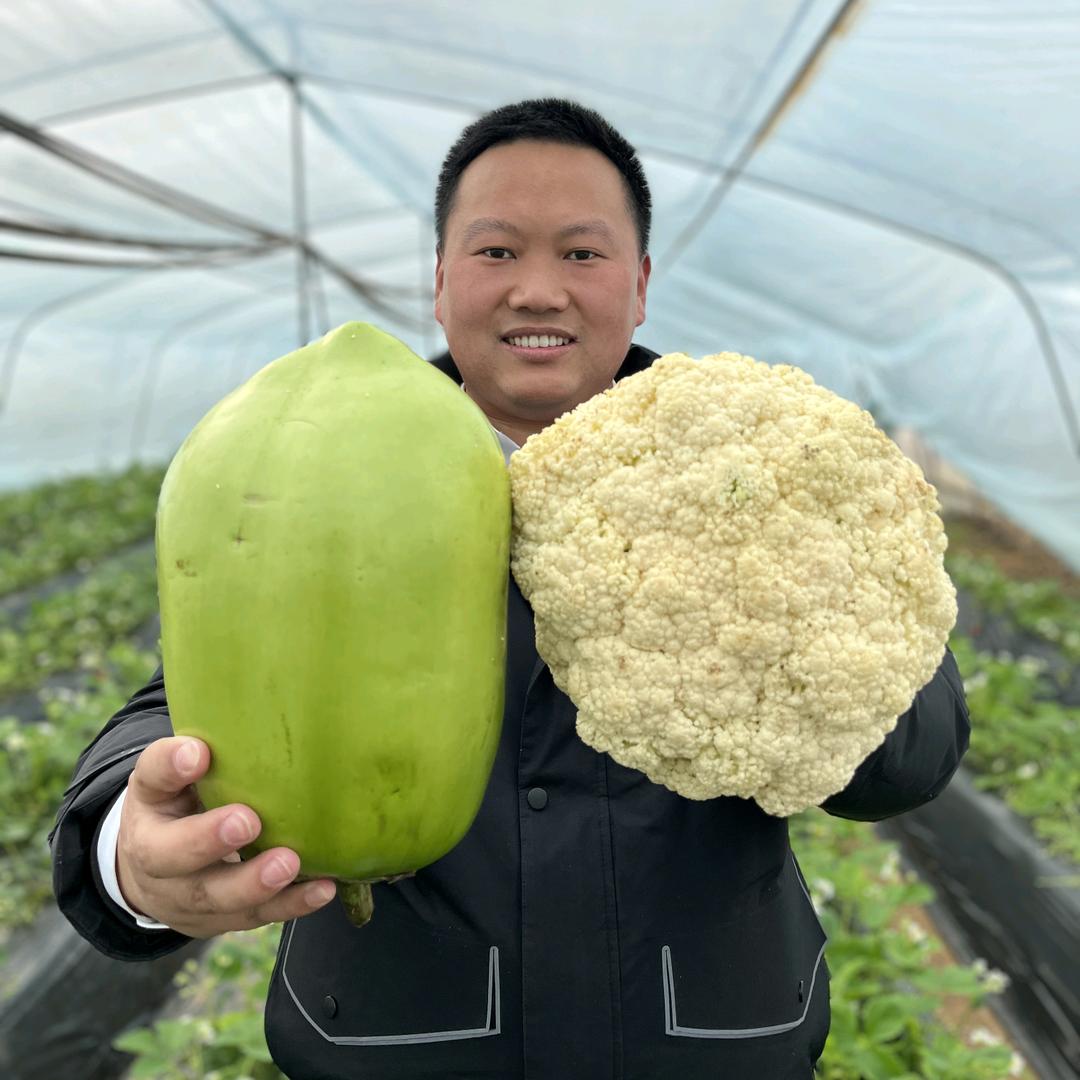 大圣说农业