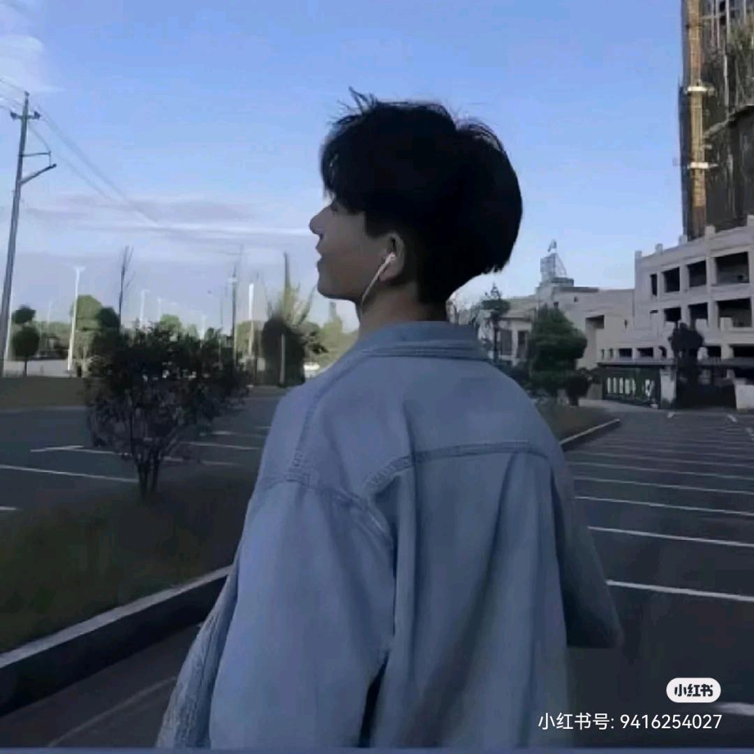 白枫