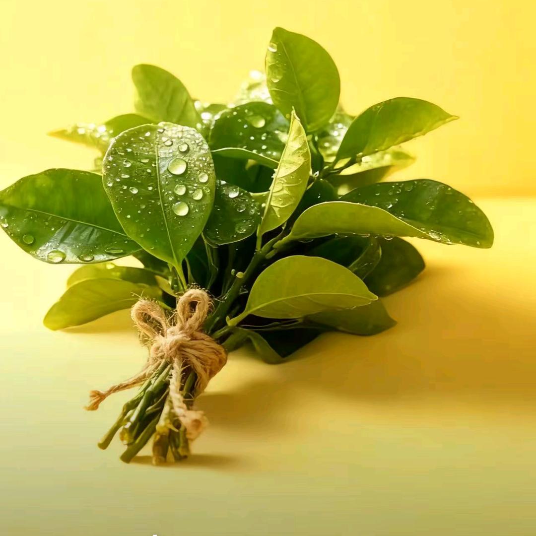 心好累？如何是好！