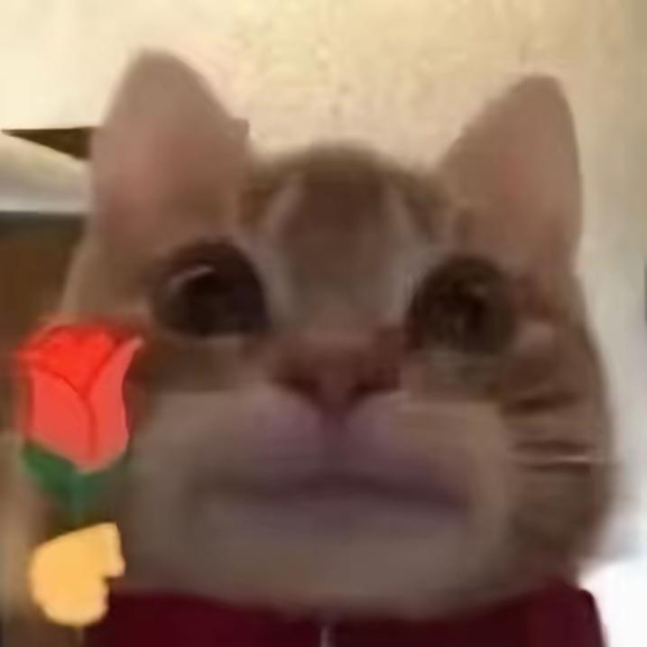 裤衩丢了