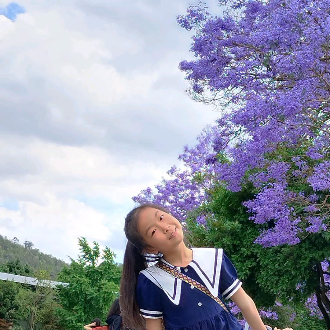 西西🌻