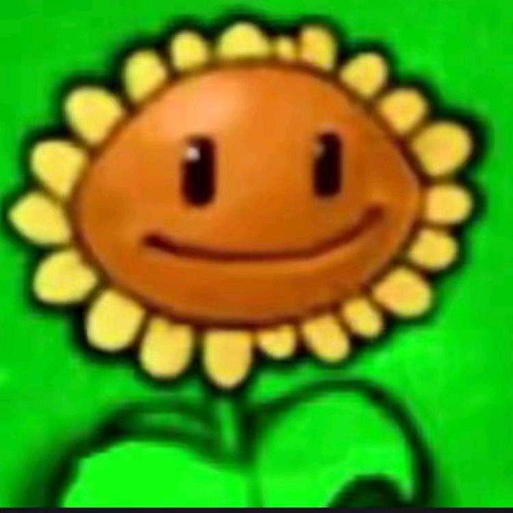 ko神（玩了俩月ko）