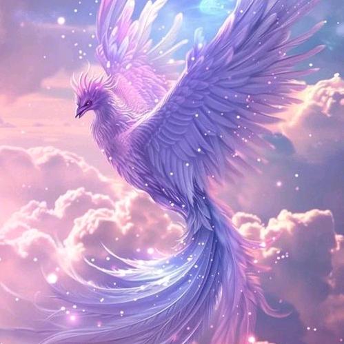 紫色火凤凰