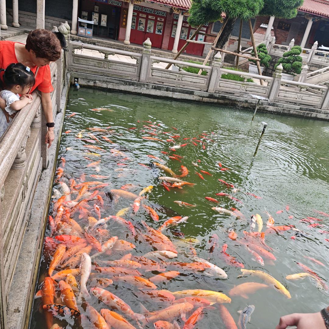 多乐✨🍑🥤