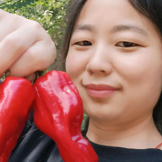 灰姑娘平价橱窗