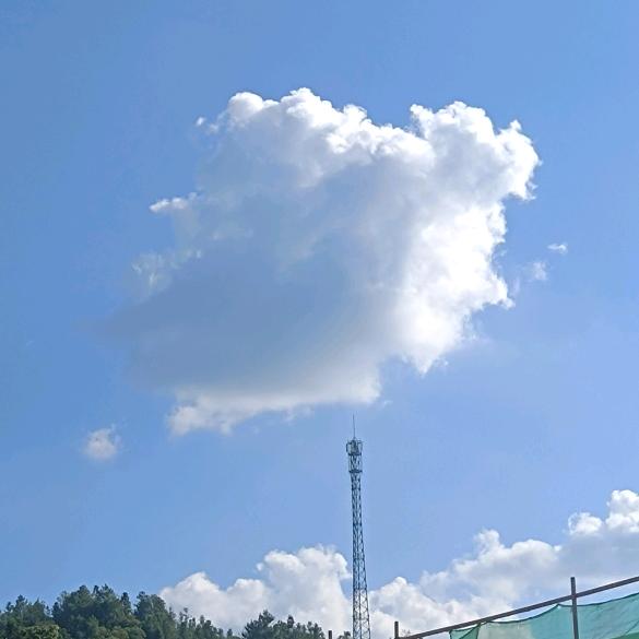 顾