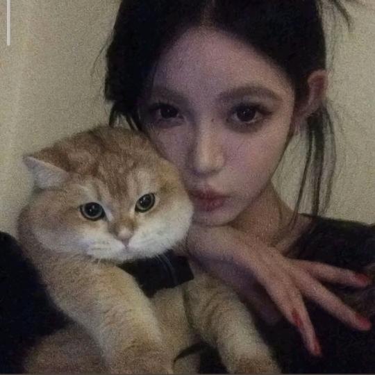 郜娇