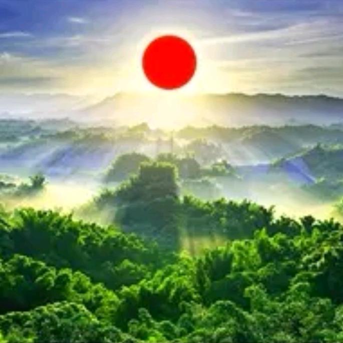 农家小院